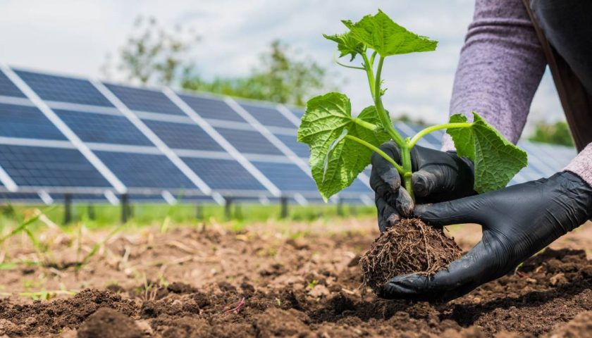 jardin écologique environnement urbain