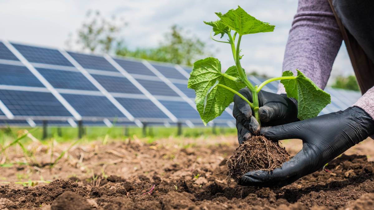 jardin écologique environnement urbain