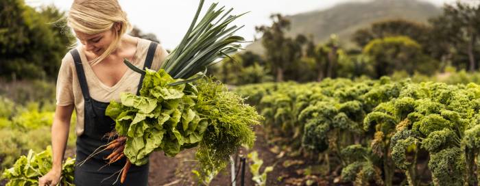 jardin écologique environnement urbain